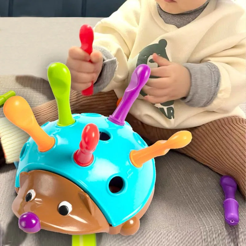 "Hedgehog Sensory Toy: kleurrijke egel met tactiele stekels voor motoriek en kleurherkenning bij kinderen."