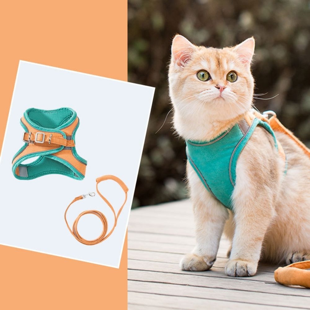 "Verstelbaar kattentuigje Oscar, ontsnappingsvrij, met fluweelzachte ademende stof in diverse stijlvolle kleuren."
