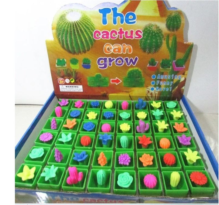 Unisex educatieve groeiende planten speelgoed set voor kinderen, met cactus en plantenpotjes. Veilig binnen speelgoed.