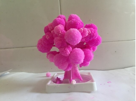 Miniatuur Magische Sakura Boom die bloeit, betoverende kersenbloesem decoratie voor huis of kantoor.