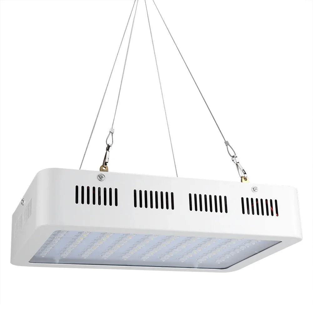 Volledig spectrum LED kweeklamp 1000W, garandeert gezonde plantengroei en bloei in elke indoor kweekomgeving.