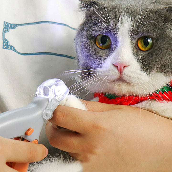 Close-up van de LED verlichting op de nagelknipper. Verlicht de bloedlijn voor veilig knippen van honden- en kattennagels.