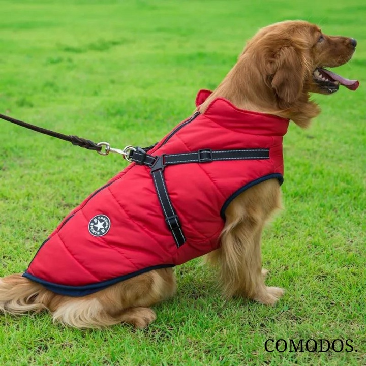 Veilige winterjas voor honden, waterdicht met geïntegreerd harnas voor wandelingen.