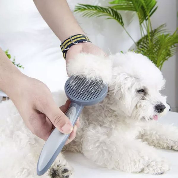 Volledig overzicht van de zelfreinigende borstel, een must-have voor professionele huisdier vachtverzorging.