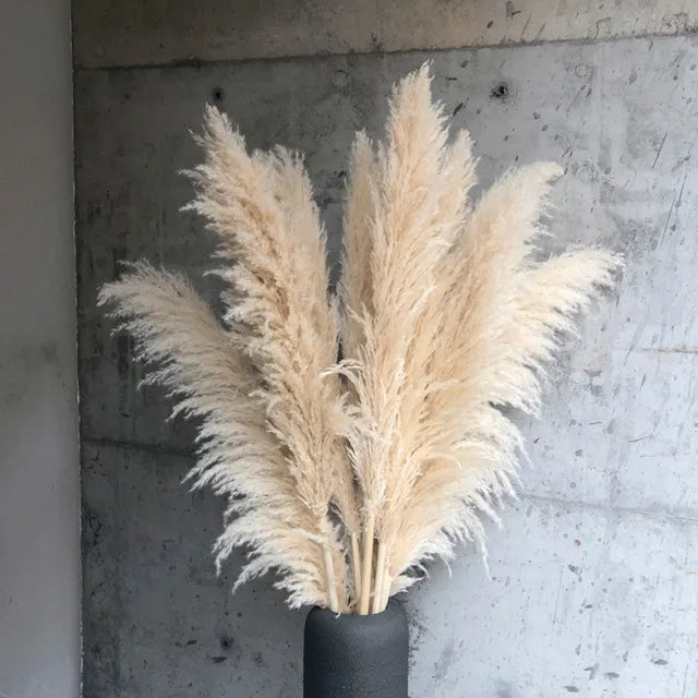 Detail van zachte beige pampas pluimen. Ideaal als stijlvolle droogbloemen decoratie voor elk interieur.