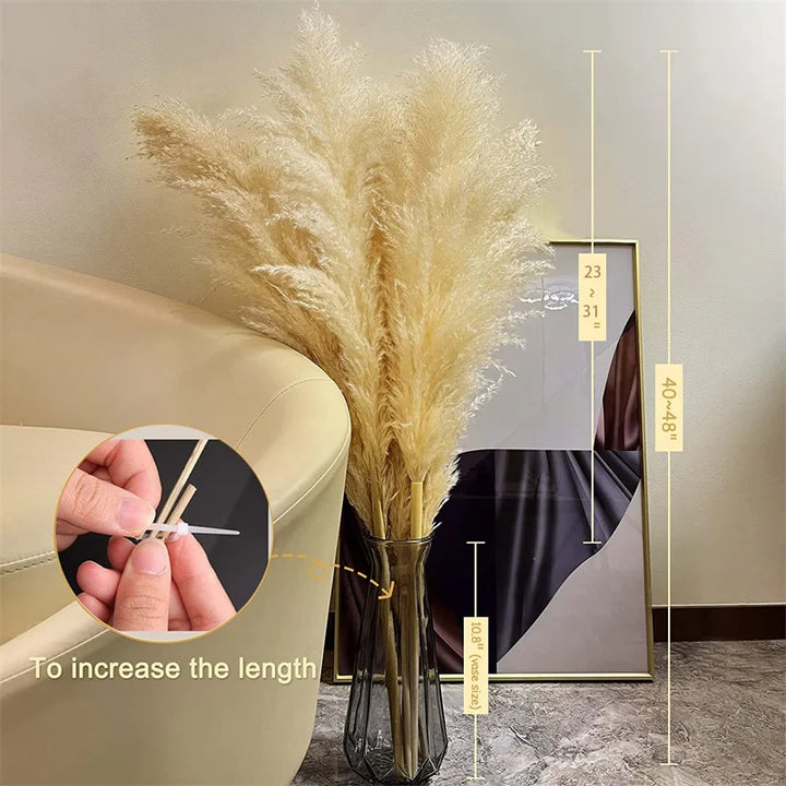 Variatie van beige, roze en wit pampas gras als interieur decoratie. Een tijdloze toevoeging aan uw woning.