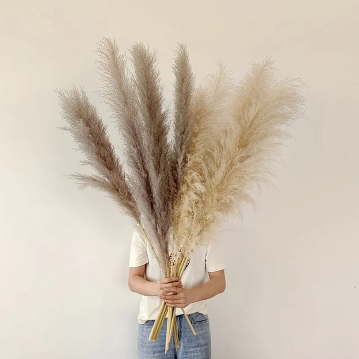 Pampas pluimen in een vaas, sfeervolle toevoeging aan uw huis. Natuurlijke droogbloemen voor een bohemian interieur.