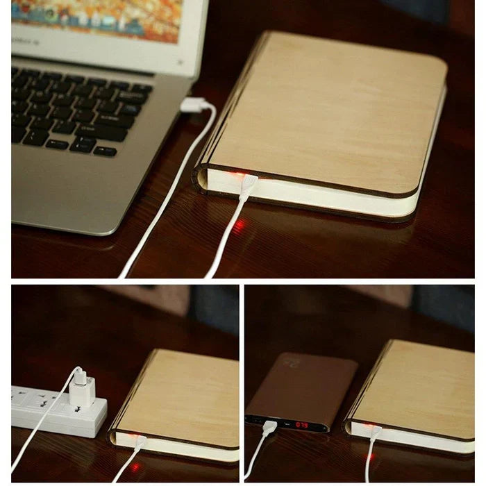 Stijlvolle flexibele LED studielamp; ideale oplaadbare leeslamp voor bureau of studie.