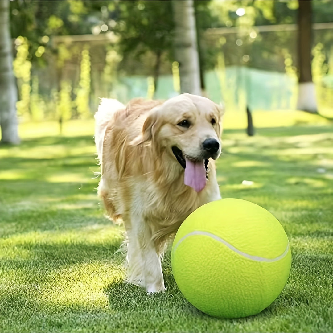 Grote, veilige rubberen gele honden tennisbal, speciaal voor actieve honden en buitenspeelgoed.