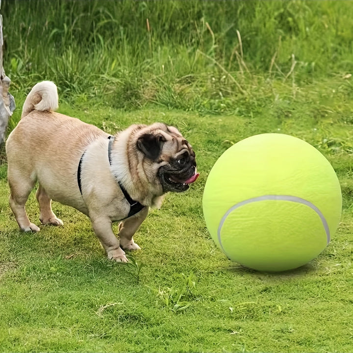 Grote gele honden tennisbal voor actieve honden. Duurzaam apporteerspeelgoed voor buiten. Veilig rubber.