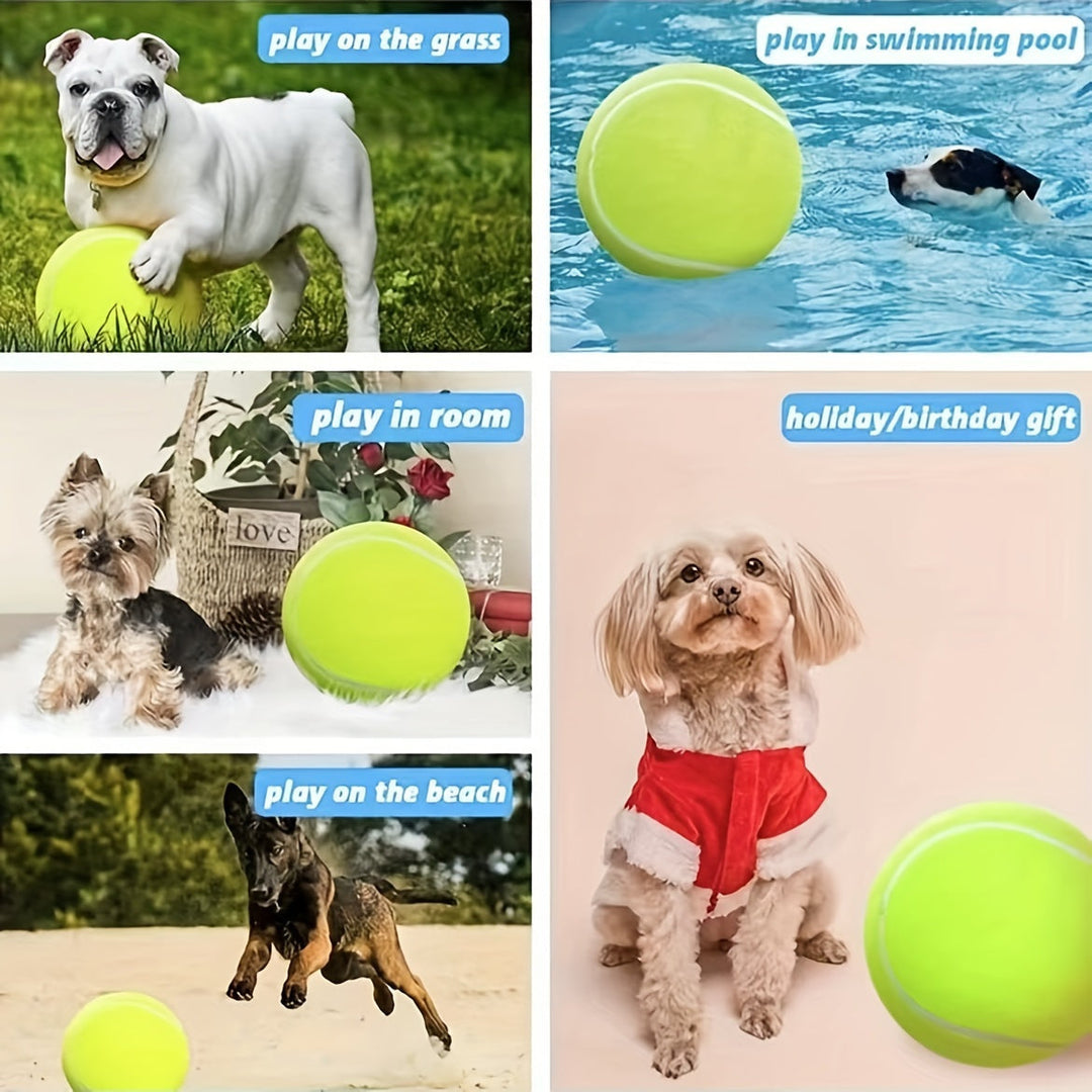Heldergele, extra duurzame grote honden tennisbal. Robuust rubberen buitenspeelgoed voor veel speelplezier.