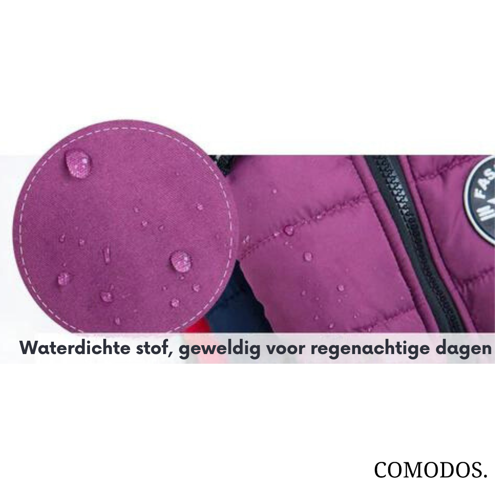 Zwart waterdicht hondenjasje met harnas, perfect voor winterse buitenavonturen.