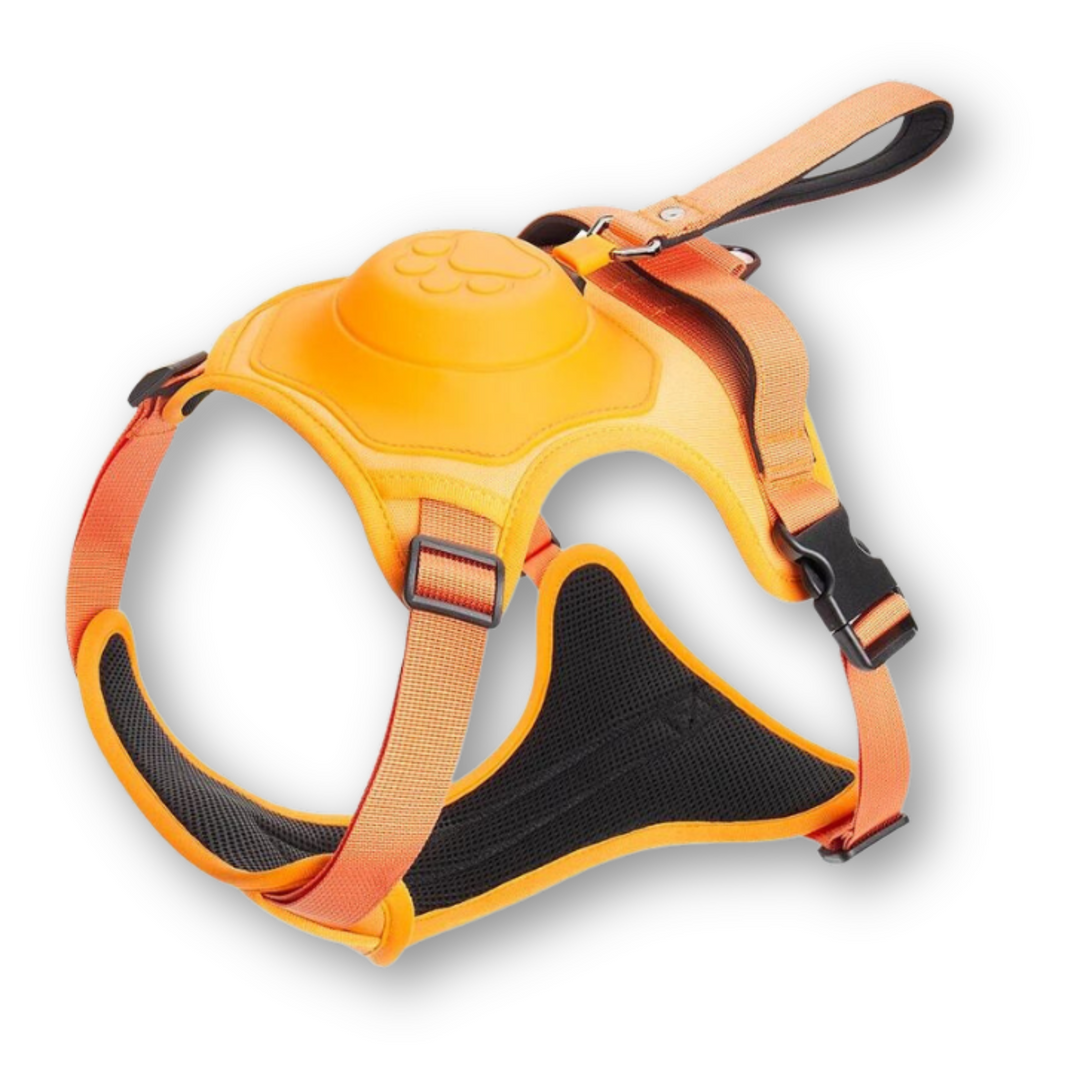Zwart FlexiLead hondentuig met geïntegreerde uitschuifbare lijn voor veilig en comfortabel wandelen met uw hond.