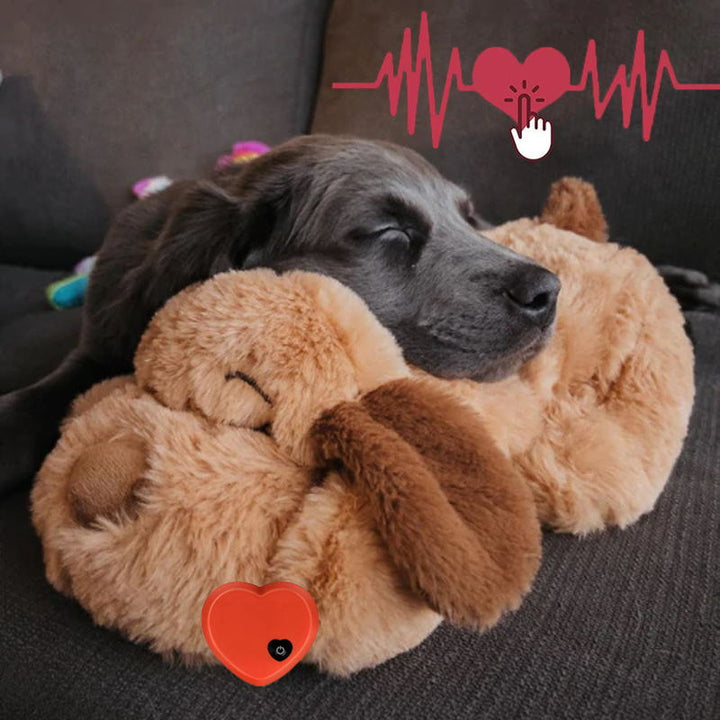 Comfortabele pluche knuffelbuddy, helpt huisdieren ontspannen en angst te overwinnen.