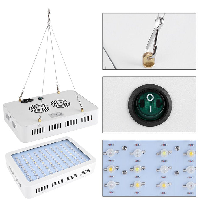 Energiezuinige LED plantenlamp 1000W, volledig spectrum voor alle groeifases. Ideaal voor efficiënte indoor kweek.