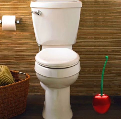 Unieke kersen toiletborstelset met rode houder, praktisch en decoratief voor elke badkamer.