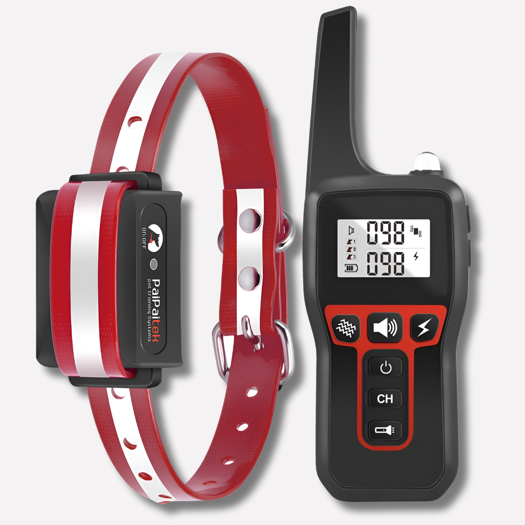 Honden trainingshalsband set: zwarte, waterdichte halsband met oplaadbare afstandsbediening voor effectieve hondentraining.