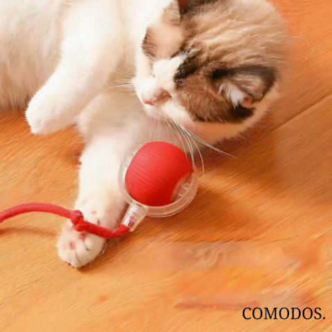 Gelukkige kat speelt enthousiast met interactief kattenspeelgoed, stimuleert activiteit.