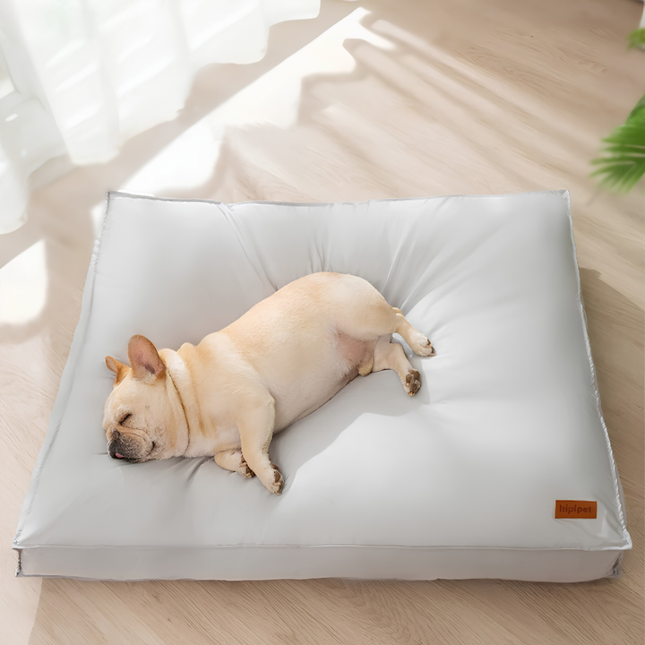 Comfortabel orthopedisch hondenbed met traagschuim, waterdicht en ondersteunend voor je hond.