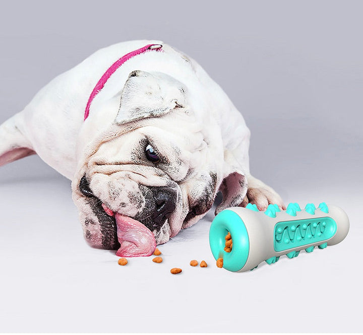 Chewly kauwspeeltje tegen tandplak, versterkt hondengebit. Duurzaam rubberen speelgoed voor mondhygiëne.