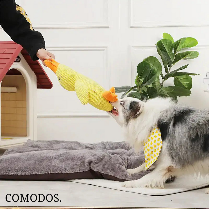 Kalmerende hondenknuffel voor angstverlichting. Zacht pluche anti-stress speeltje voor honden en puppies.