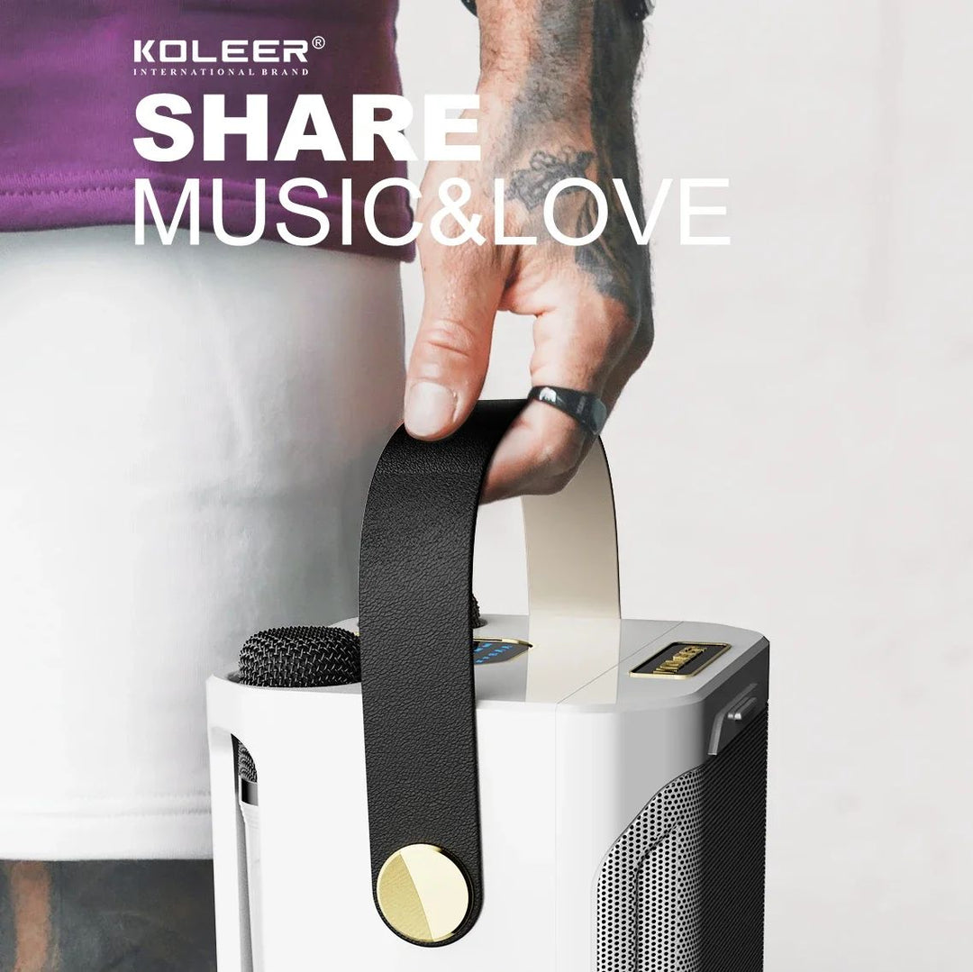 Compacte draagbare karaoke boombox, ideaal voor onderweg, met Bluetooth speaker en twee microfoons.