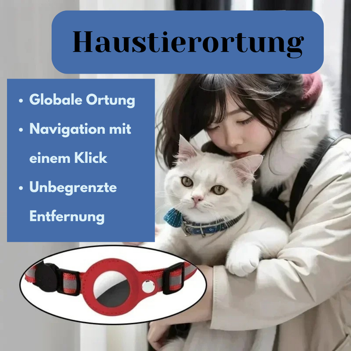 GPS tracker voor hond of kat aan halsband, toont klein en lichtgewicht design.