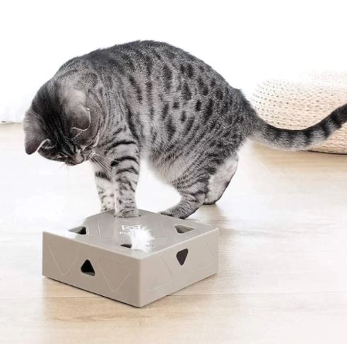 Interactief kattenspeelgoed met bewegende veer, stimuleert jachtinstinct voor uren speelplezier.
