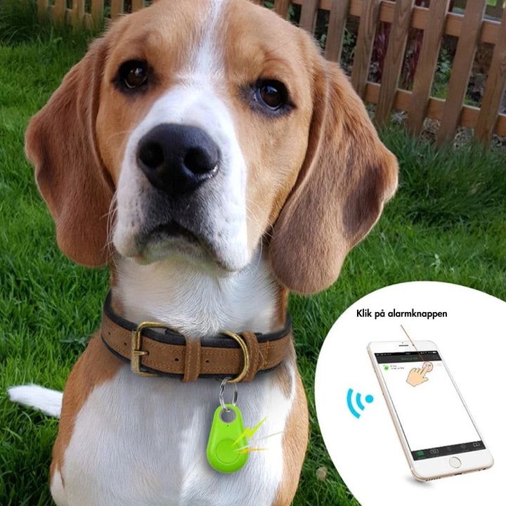 Hoge precisie GPS tracker, betrouwbaar voor het volgen van jonge kinderen in drukke omgevingen.