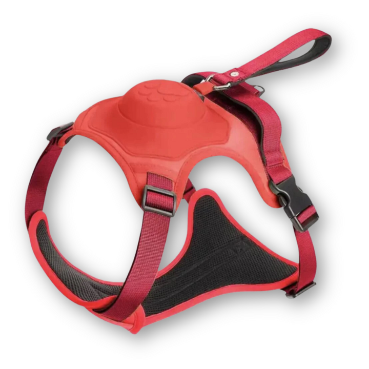 FlexiLead hondentuig en lijn, L, biedt veiligheid en comfort; perfect voor dagelijkse wandelingen met uw hond.