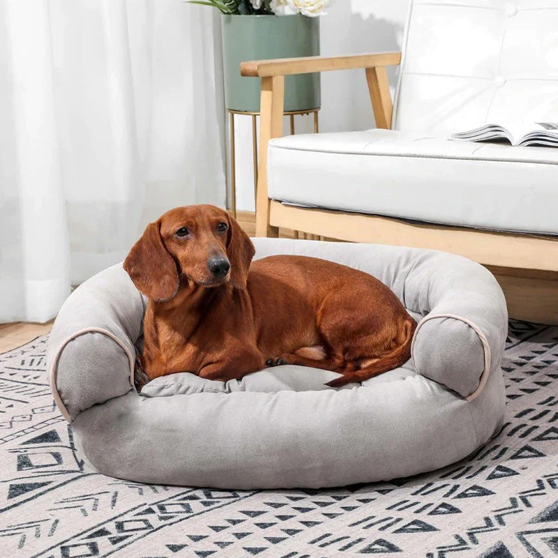 Een blije hond ontspant op de comfortabele CalmPaw orthopedische hondenbank, vermindert stress en bevordert rust.