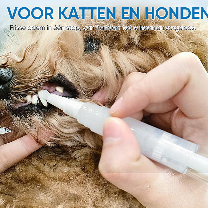 Deze tandenborstel pen maakt dierengebit reinigen simpel, voor optimale gezondheid en frisse adem.