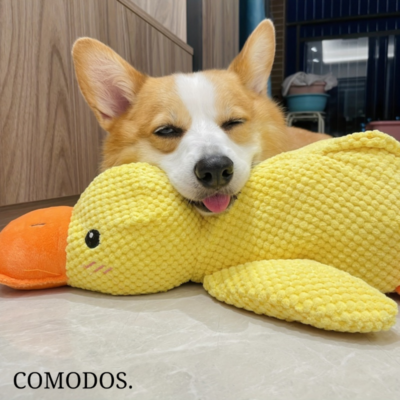 Zachte pluche hondenknuffel biedt comfort en helpt bij stress. Ideaal als slaapmaatje voor angstige honden.