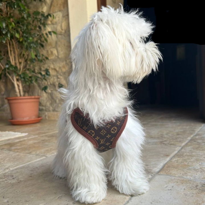 Comfortabel PawLuxe hondentuigje en lijnset. Verstelbaar textiel zorgt voor perfecte pasvorm en wandelplezier.