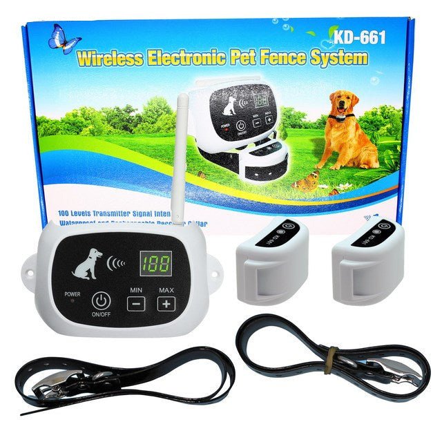 Hond met draadloze HaloGuard trainingshalsband; veilige buitenruimte dankzij onzichtbaar hek.