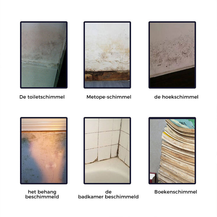 Verpakking krachtige schimmelverwijderaar schuim voor een schoon huis. Voor hygiënische badkamer & keuken.