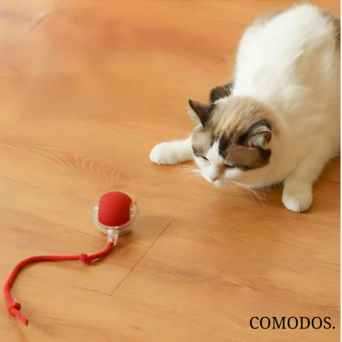 Close-up van interactief kattenspeelgoed: bewegend element triggert jachtinstinct van de kat.