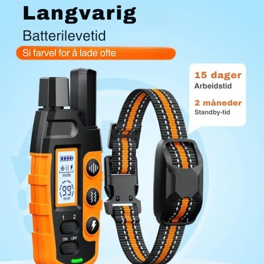 ProTrain trainingshalsband voor honden, waterdicht en met groot bereik. Perfect voor gehoorzaamheidstraining.