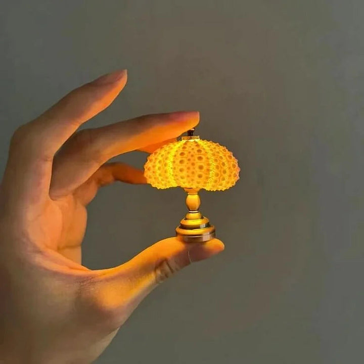 Unieke sfeerlamp van natuurlijke zeeschelpen, perfect als decoratie in woon- of slaapkamer. Handgemaakte schelpenlamp.