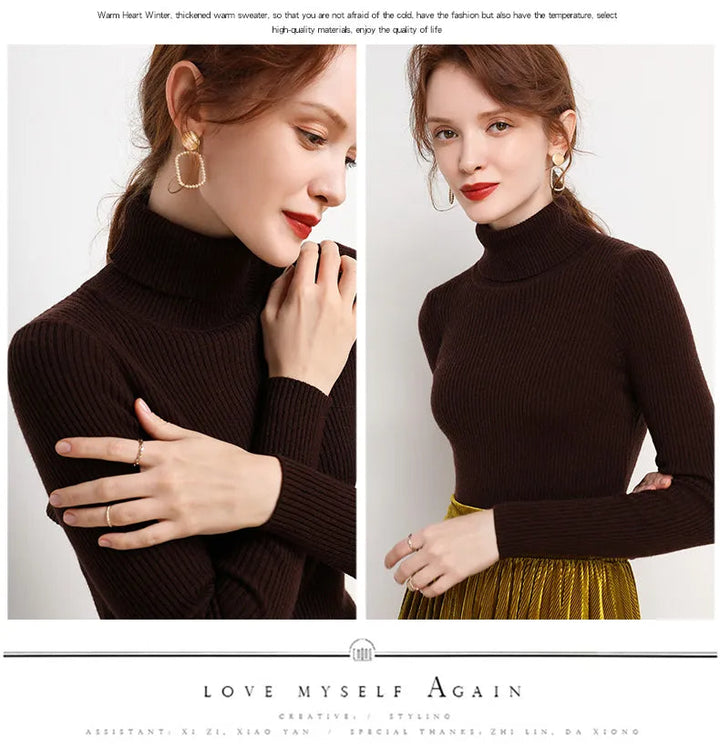 Stijlvolle dames trui, lange mouwen. Gebreide coltrui in effen design voor herfstmode.