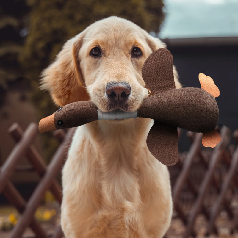 Zacht pluche eend hondenspeeltje voor puppy's en volwassen honden, comfortabel en veilig voor plezier.