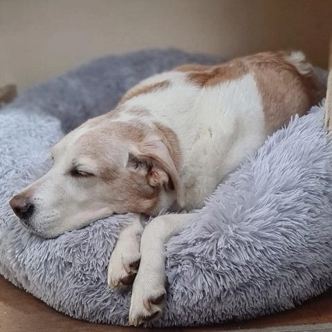 Geef je huisdier de rust die het verdient met deze ultiem zachte, pluizige kalmerende hondenmand.