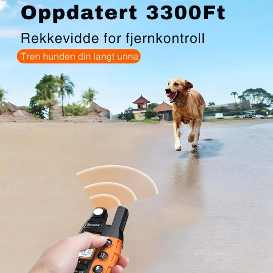 Afstandsbediende ProTrain trainingshalsband met verstelbare modi voor effectieve gedragscorrectie bij honden.