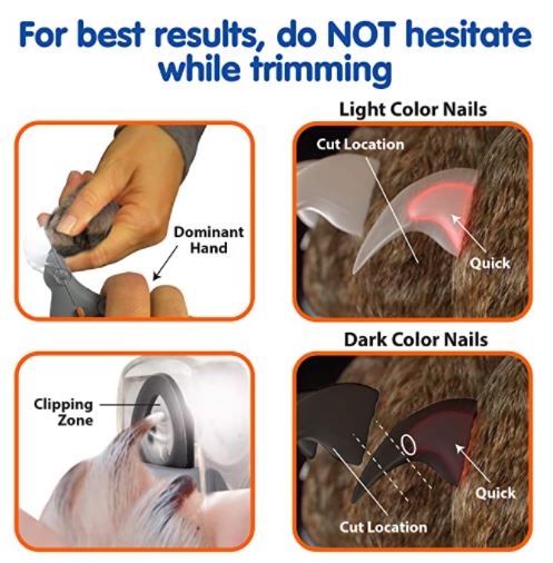 Essentiële dierenbenodigdheden: LED nagelknipper voor veilige en effectieve nagelverzorging bij honden en katten.