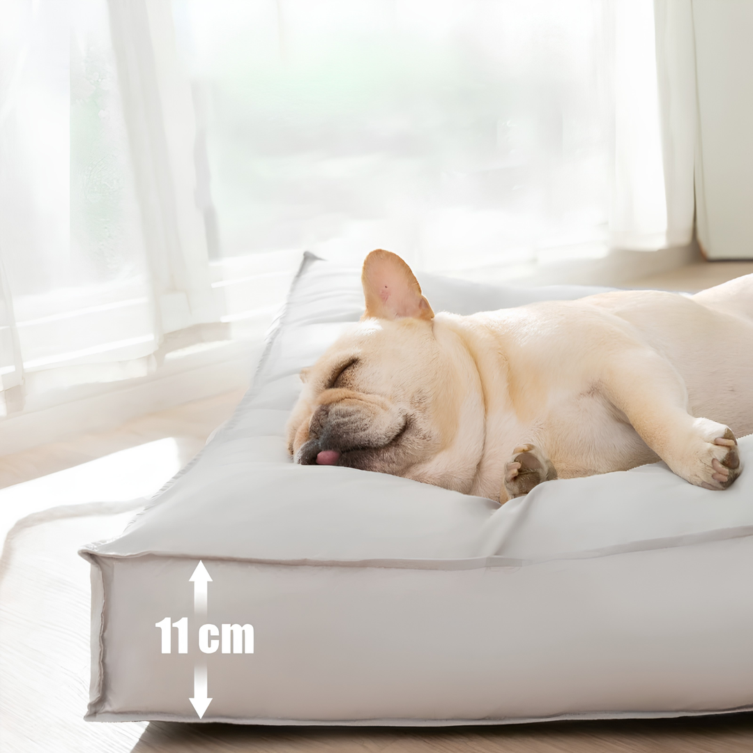 Orthopedisch hondenkussen lichtgrijs, waterdicht en comfortabel traagschuim hondenbed voor huisdieren.