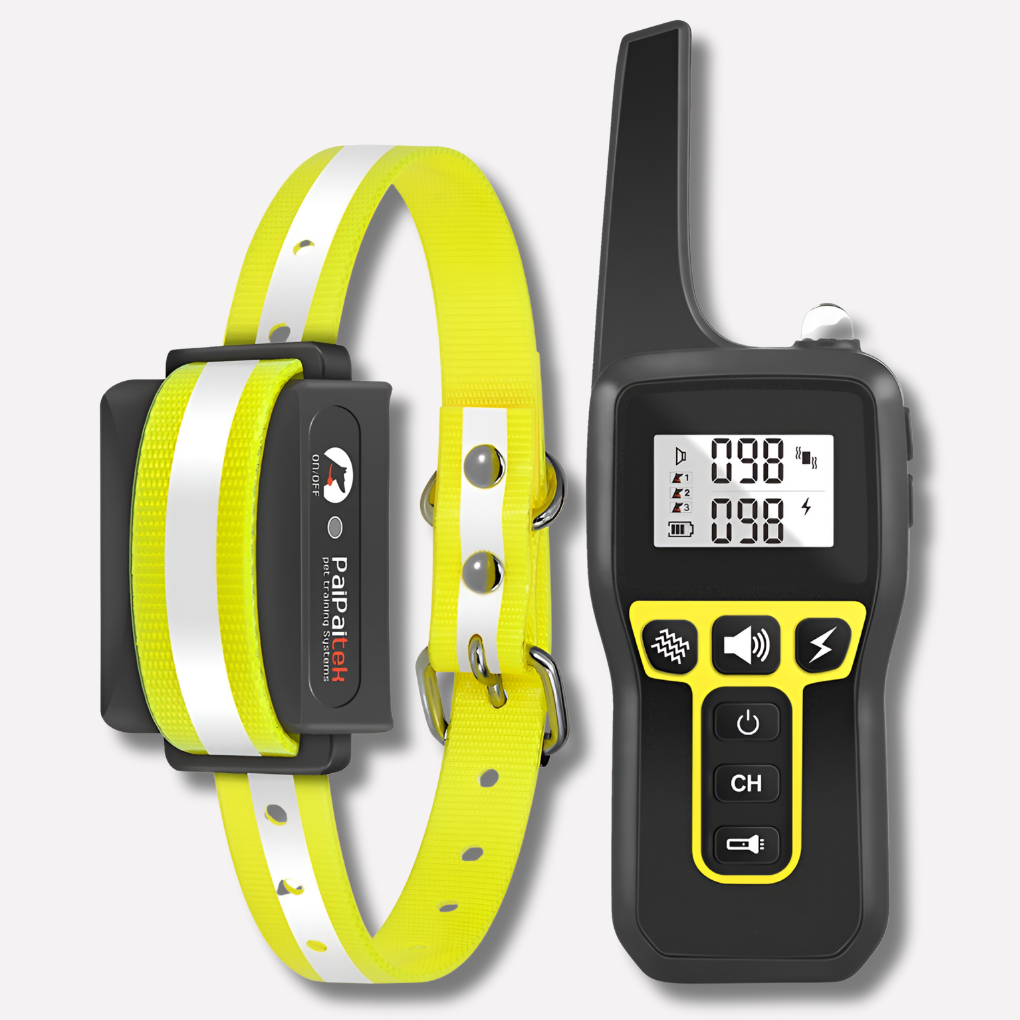 Waterdichte hondenhalsband voor training met 1000m bereik. Oplaadbaar en perfect voor gehoorzaamheidstraining buiten.