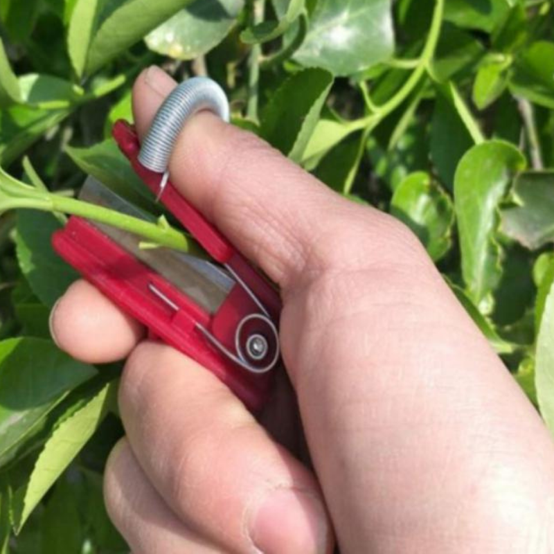 Handig oogstgereedschap voor fruit en groenten. Maakt tuinieren en plukken efficiënter en sneller.