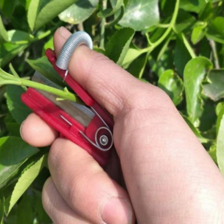 Handig oogstgereedschap voor fruit en groenten. Maakt tuinieren en plukken efficiënter en sneller.