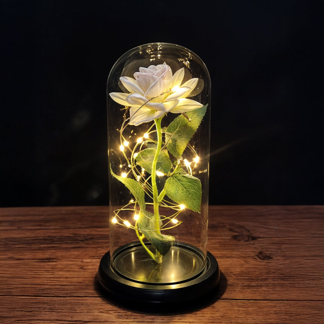 Betoverende LED roos onder glazen stolp, een tijdloos en romantisch cadeau. Ideaal als decoratie met sfeervol licht.