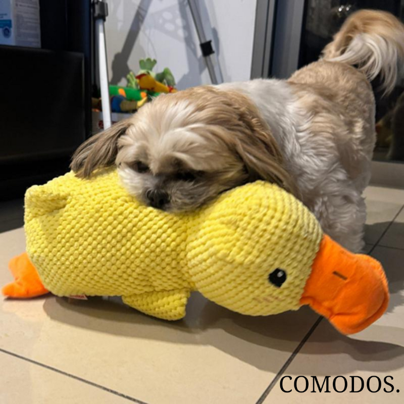 Anti-stress hondenknuffel, speciaal ontworpen voor angstverlichting bij honden die alleen zijn.